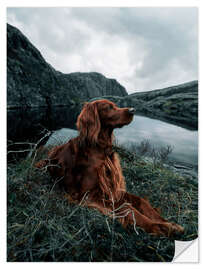 Selvklæbende plakat Enjoying the landscape