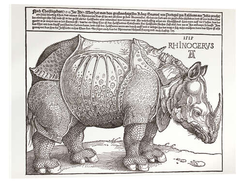 Acrylic print The Rhinoceros (German)