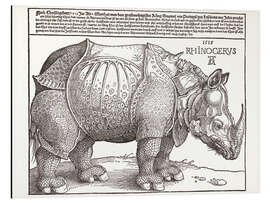 Aluminium print The Rhinoceros (German)