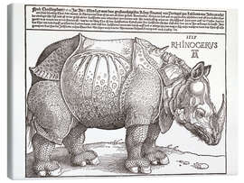 Leinwandbild Rhinocerus