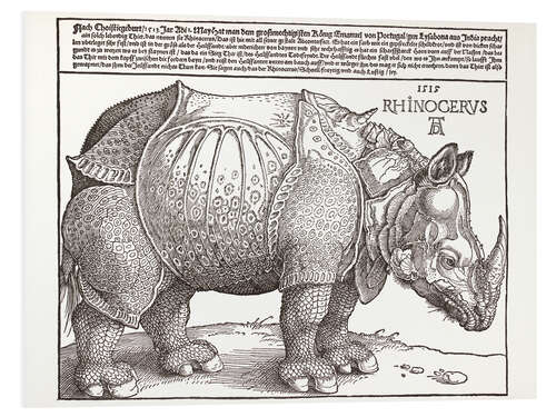 Foam board print The Rhinoceros (German)