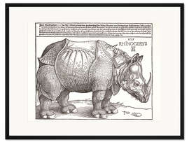 Gerahmter Kunstdruck Rhinocerus