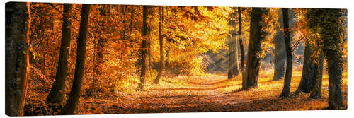 Leinwandbild Herbstwald