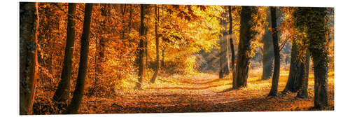 Foam board print Autumn forest