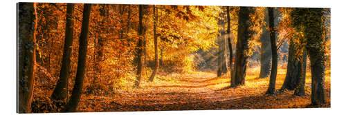 Gallery print Autumn forest