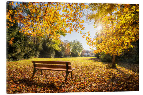 Akrylbilde Autumn colors in the park