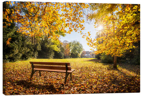 Lienzo Colores de otoño en el parque