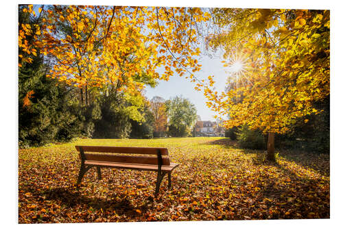 Foam board print Autumn colors in the park