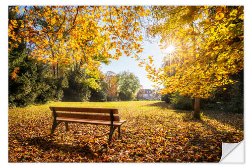 Wandsticker Herbstfarben im Park