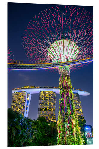 Gallery Print Supertrees Singapur II