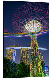 Magnettafel Supertrees Singapur II