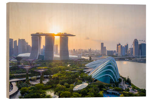 Holzbild Gardens by the Bay, Singapur