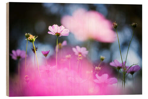 Holzbild Zarte Blüten in Pink