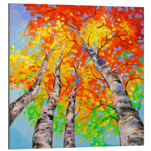 Aluminiumsbilde Heavenly birch