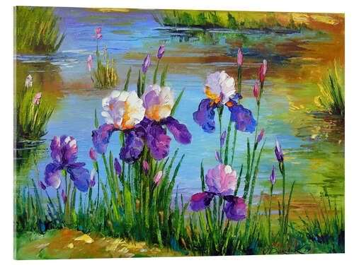 Acrylglas print Irises at the pond