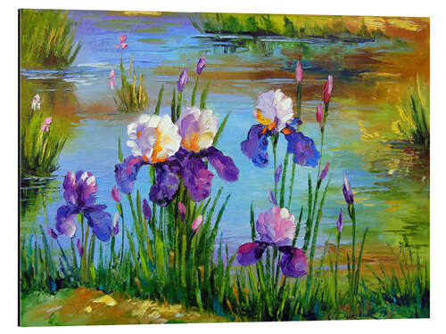 Aluminium print Irises at the pond