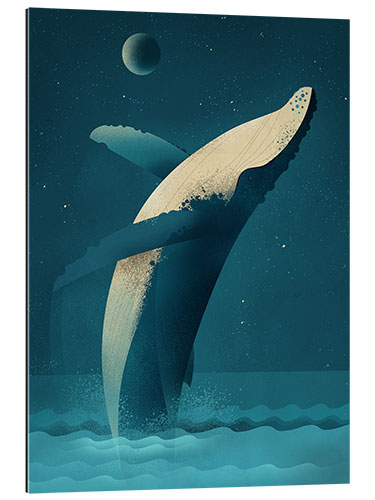 Gallery print Humpback Whale