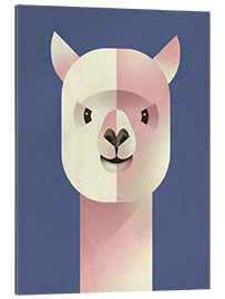 Gallery print Alpaca