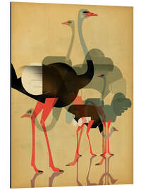 Magnettafel Strauße