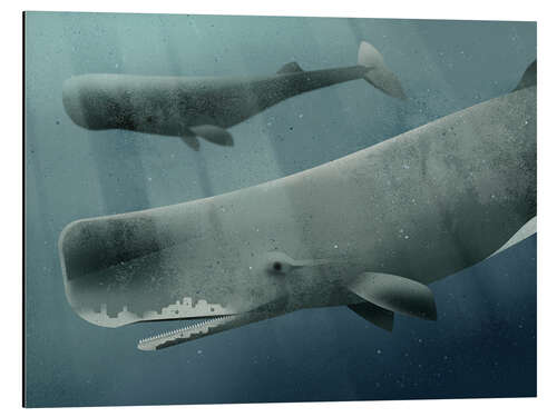 Aluminium print 0001 Sperm Whale