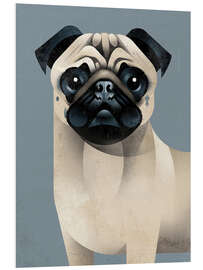 Foam board print Pug