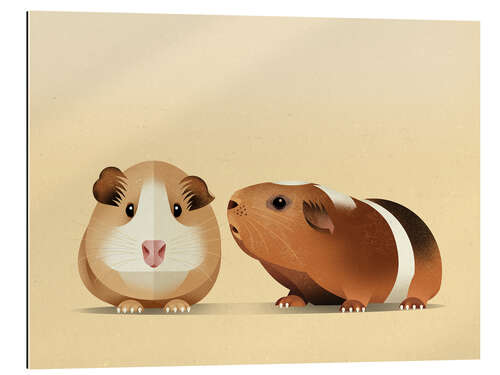 Gallery print Guinea pig