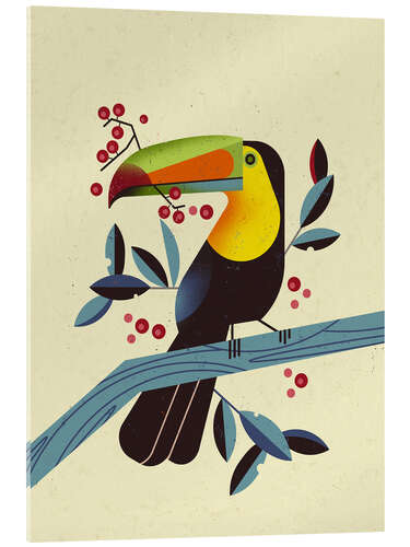 Acrylic print Tucan II