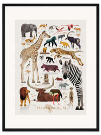 Gerahmter Kunstdruck Afrikas Tierwelt (Englisch)