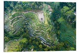 Magnettafel Reisterrassen von Bali