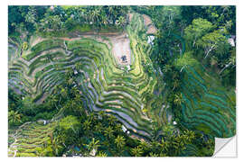 Sisustustarra Rice terraces of Bali