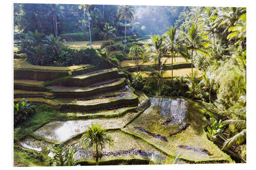 Obraz na PCV Rice fields in the jungle, Bali