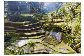 Magnettafel Reisfelder im Dschungel, Bali