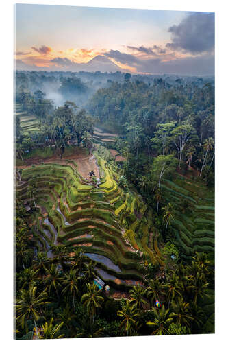 Akrylbilde Rice fields and volcano, Bali