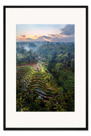 Gerahmter Kunstdruck Reisfelder und Vulkan, Bali