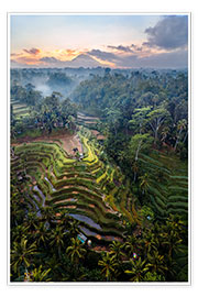 Poster  Rice fields and volcano, Bali - Matteo Colombo