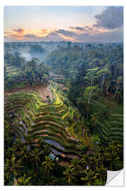 Selvklebende plakat Rice fields and volcano, Bali