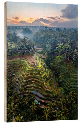 Wood print Rice fields and volcano, Bali