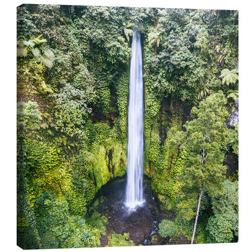 Tableau sur toile Cascade tropicale, Bali