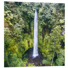 Foam board print Tropical waterfall, Bali