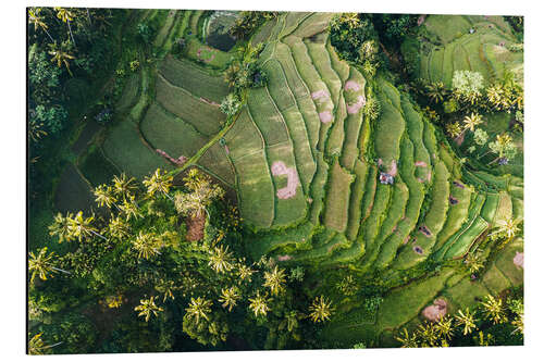 Tableau en aluminium Rizière vue du ciel, Bali