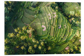 PVC print Rice field from above, Bali