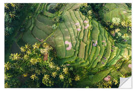 Muursticker Rice field from above, Bali