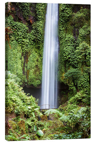 Stampa su tela Cascata nella foresta pluviale, Bali