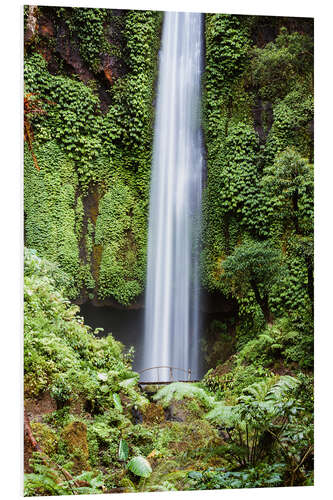 Foam board print Waterfall in the rainforest, Bali