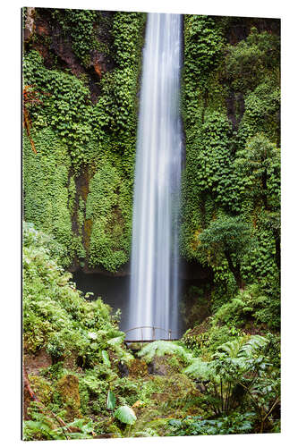 Tableau en plexi-alu Chute d'eau dans la forêt tropicale, Bali