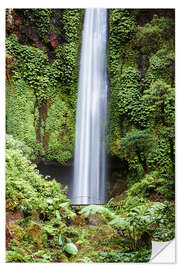 Wandsticker Wasserfall im Regenwald, Bali