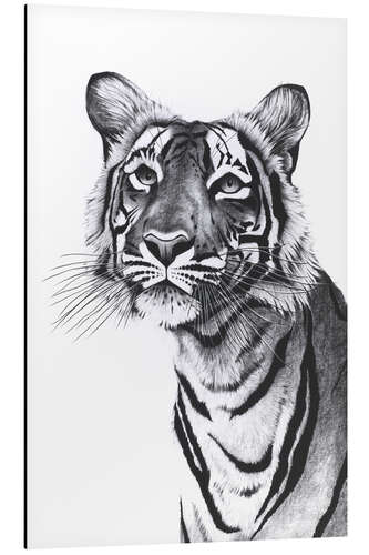 Aluminium print Tiger portrait