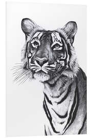 Foam board print Tiger portrait