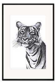 Gerahmter Kunstdruck Tiger-Porträt