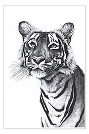 Poster Tiger-Porträt